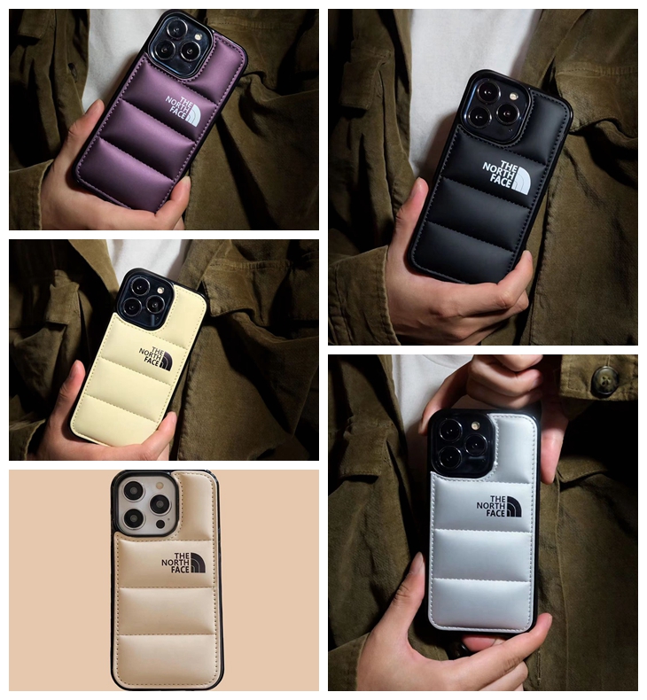 THE NORTH FACE iPhone 15/14/13/12/11 PRO Max xr/xs case
