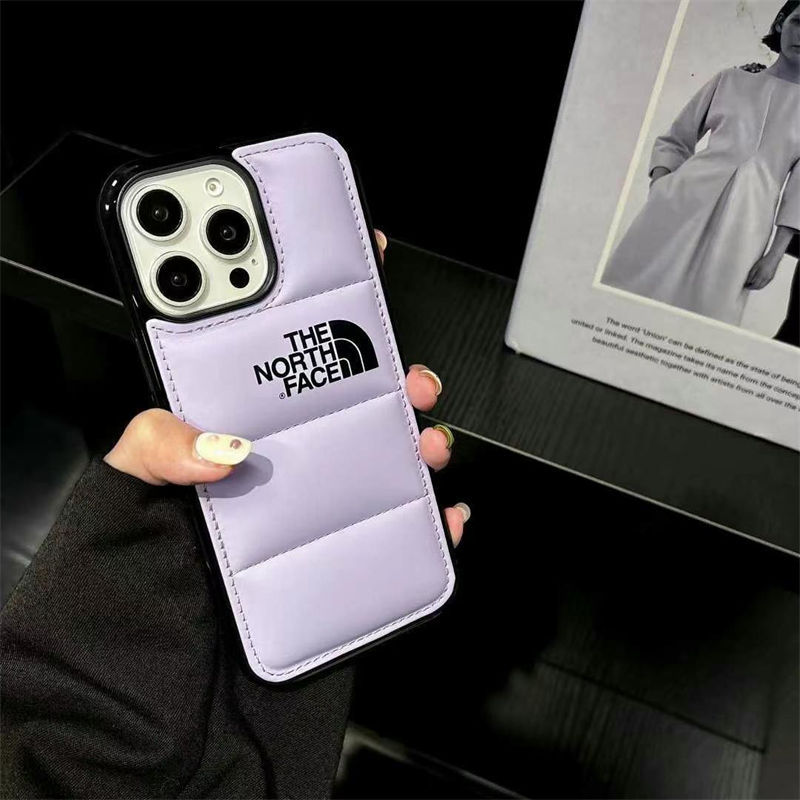 THE NORTH FACE Luxury iPhone 16e 15 Pro max Case 